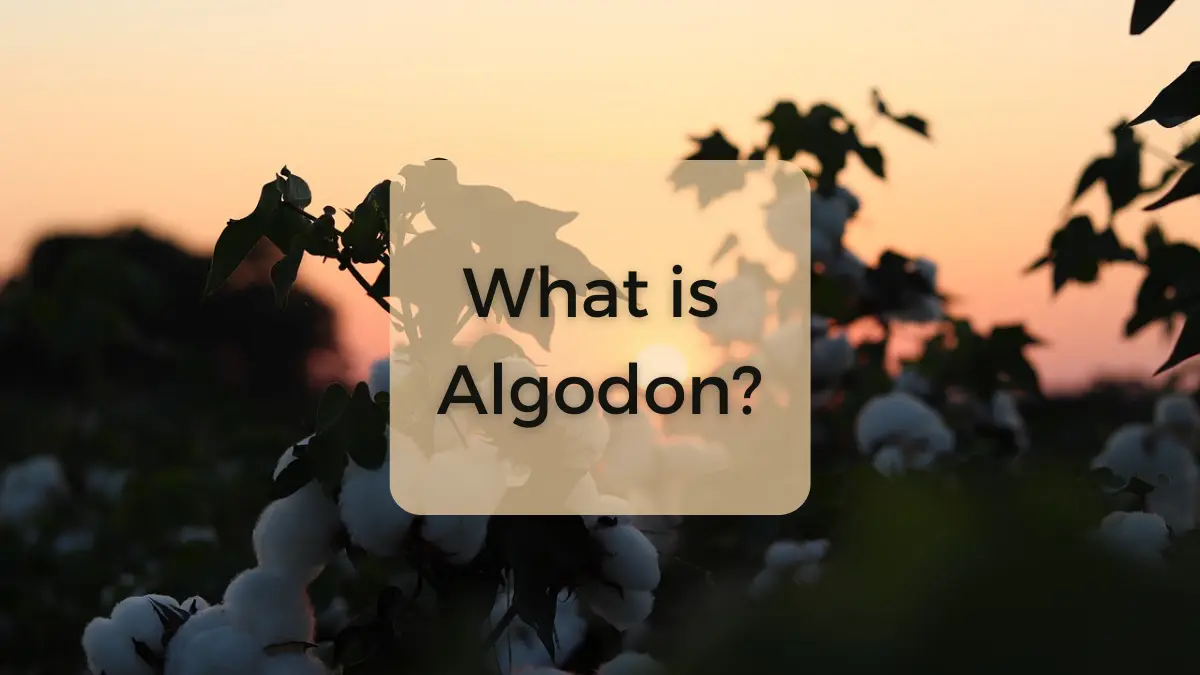 What is Algodon? is Cotton and Algodon Same?