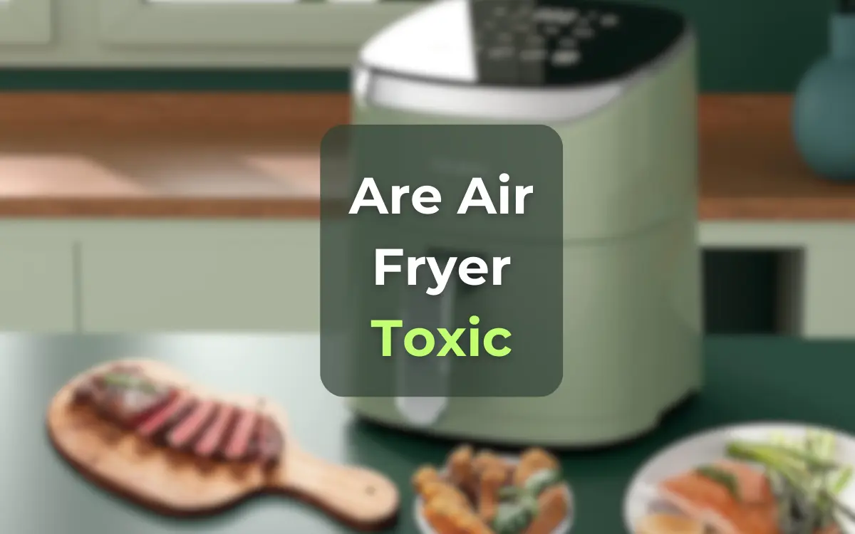 https://growmyearth.com/wp-content/uploads/2023/09/are-air-fryer-toxic-growmyearth.webp