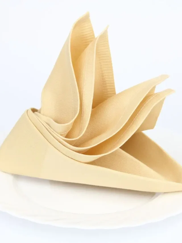7 Unique Types of Napkin Fold for Thanksgiving