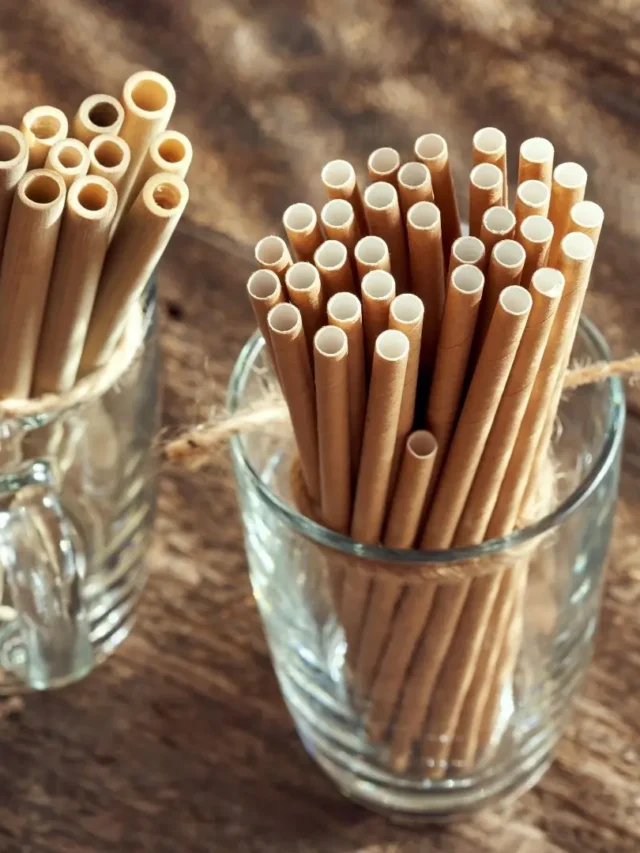 8 most popular biodegradable paper straws