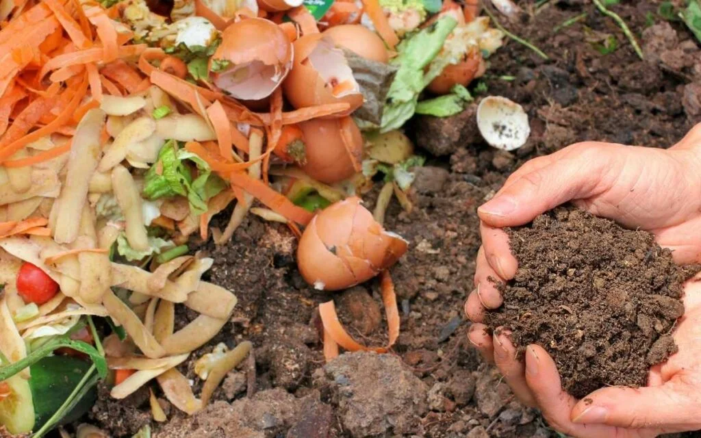 paper towel composting procedure