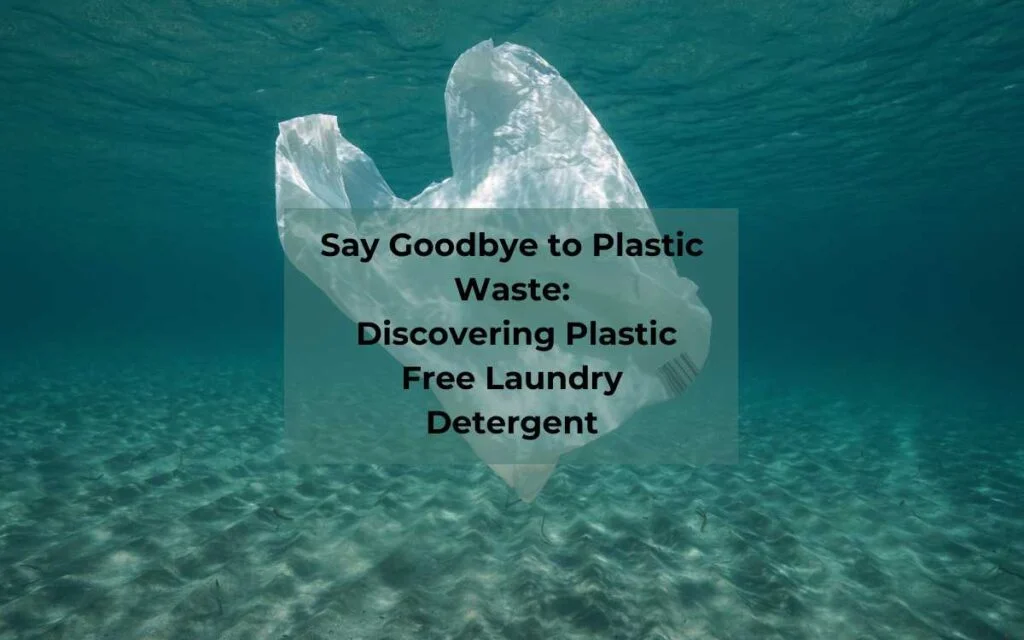 Plastic free Laundry detergent