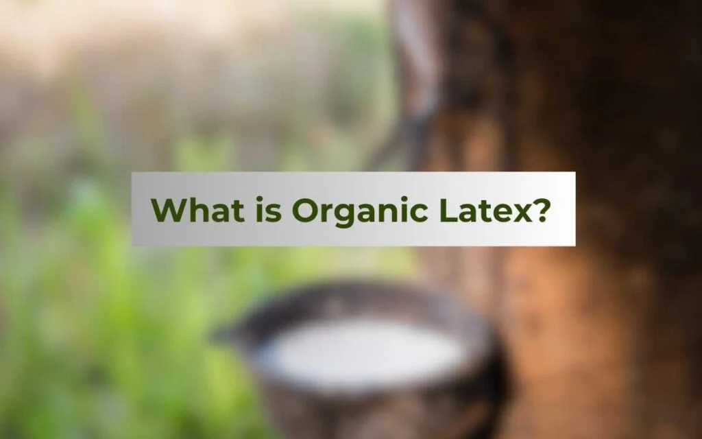 Organic Latex