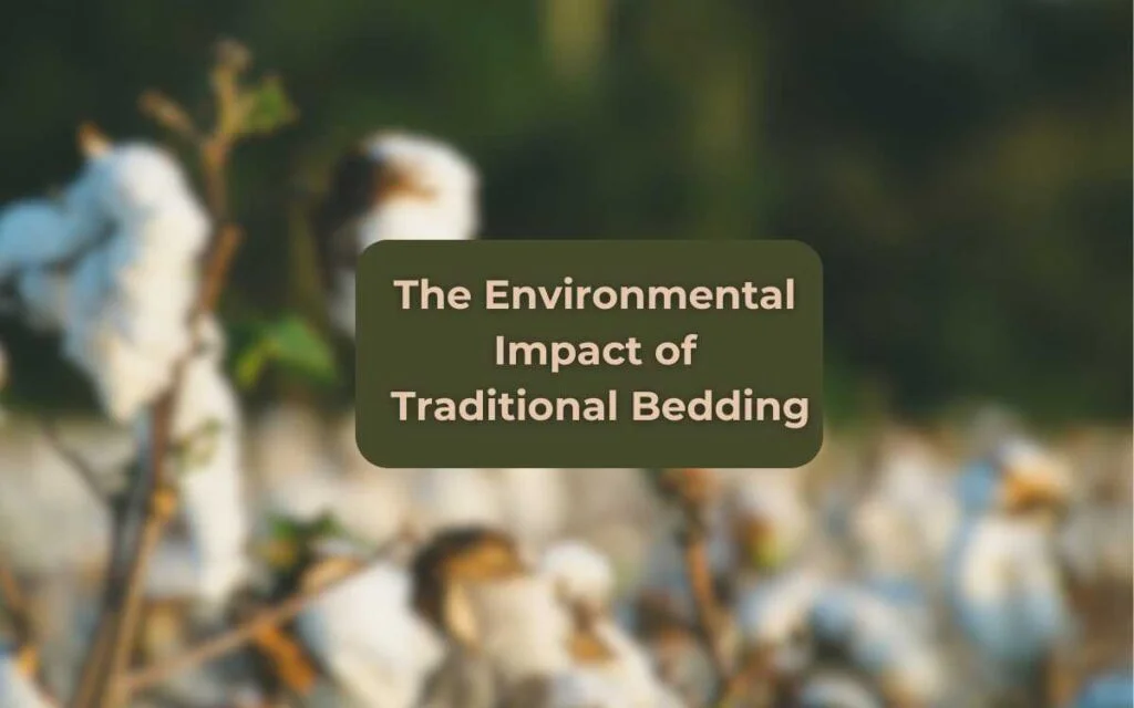 2.The Environmental Impact of Traditional Bedding Environmental Impact of Traditional Bedding, Cotton Plant