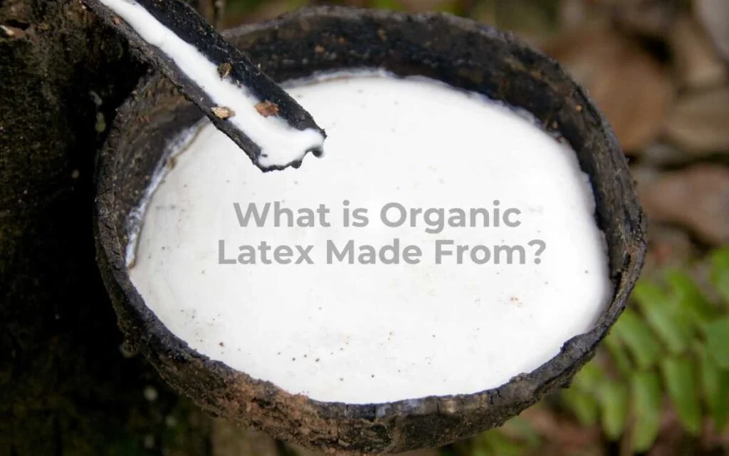 What is eco friendly rubber made of