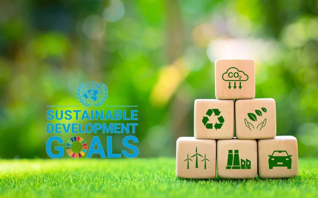 sustainable development goal achieving by using sustainable packaging