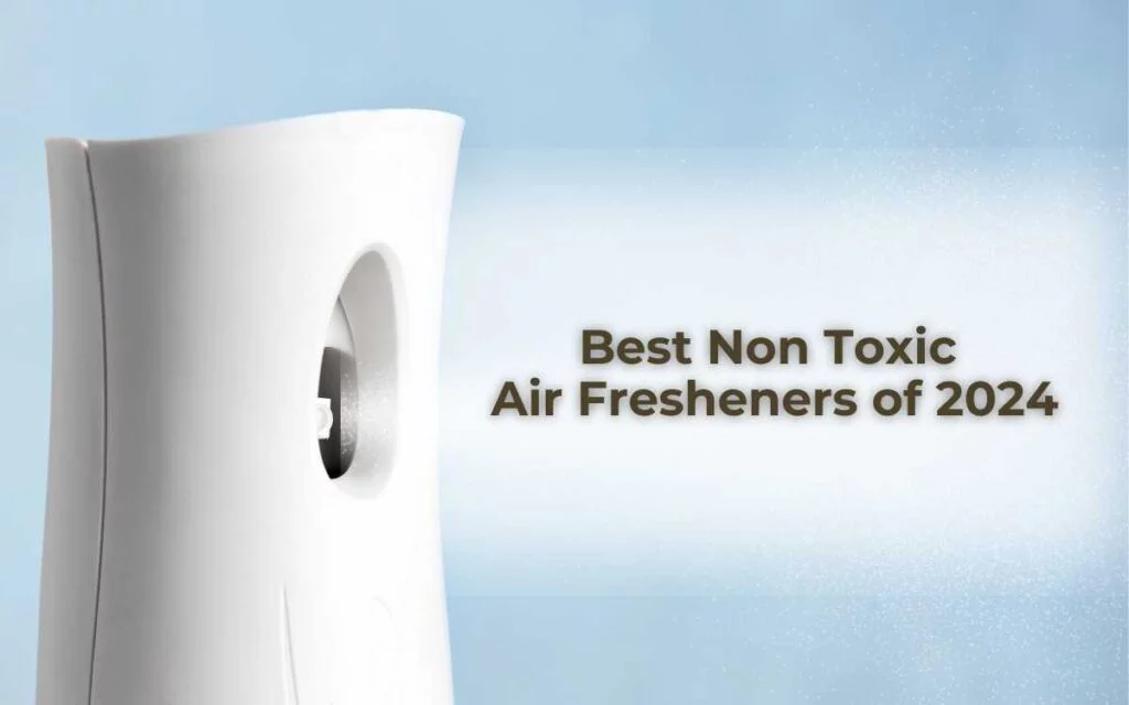 5.Best Non Toxic Air Fresheners of 2024 Best Non Toxic Air Fresheners