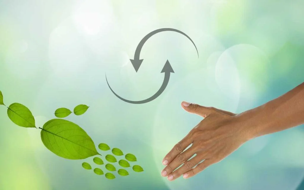 Transition to Natural Cleaning Product