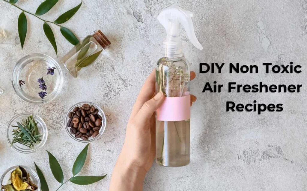 6.DIY Non Toxic Air Freshener Recipes DIY Non Toxic Air Freshener