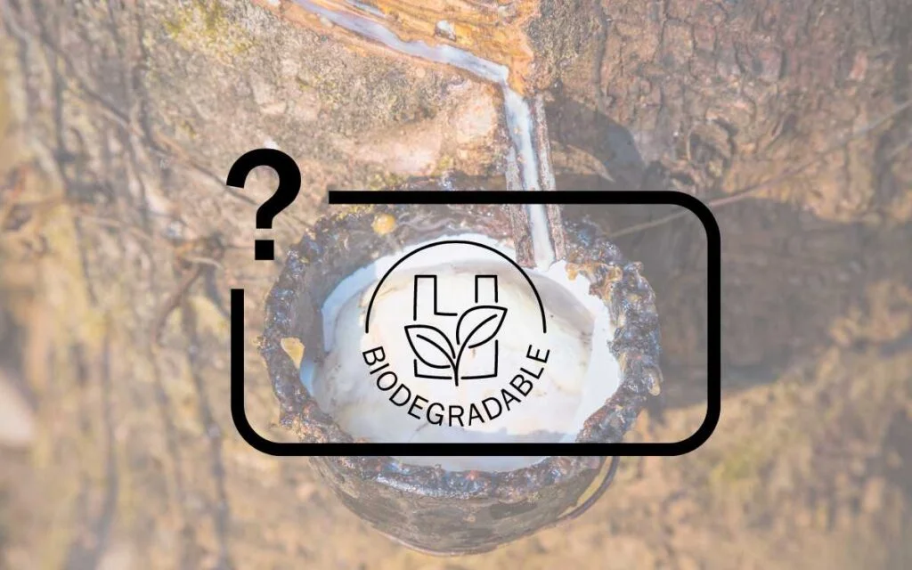 Biodegradation of Latex