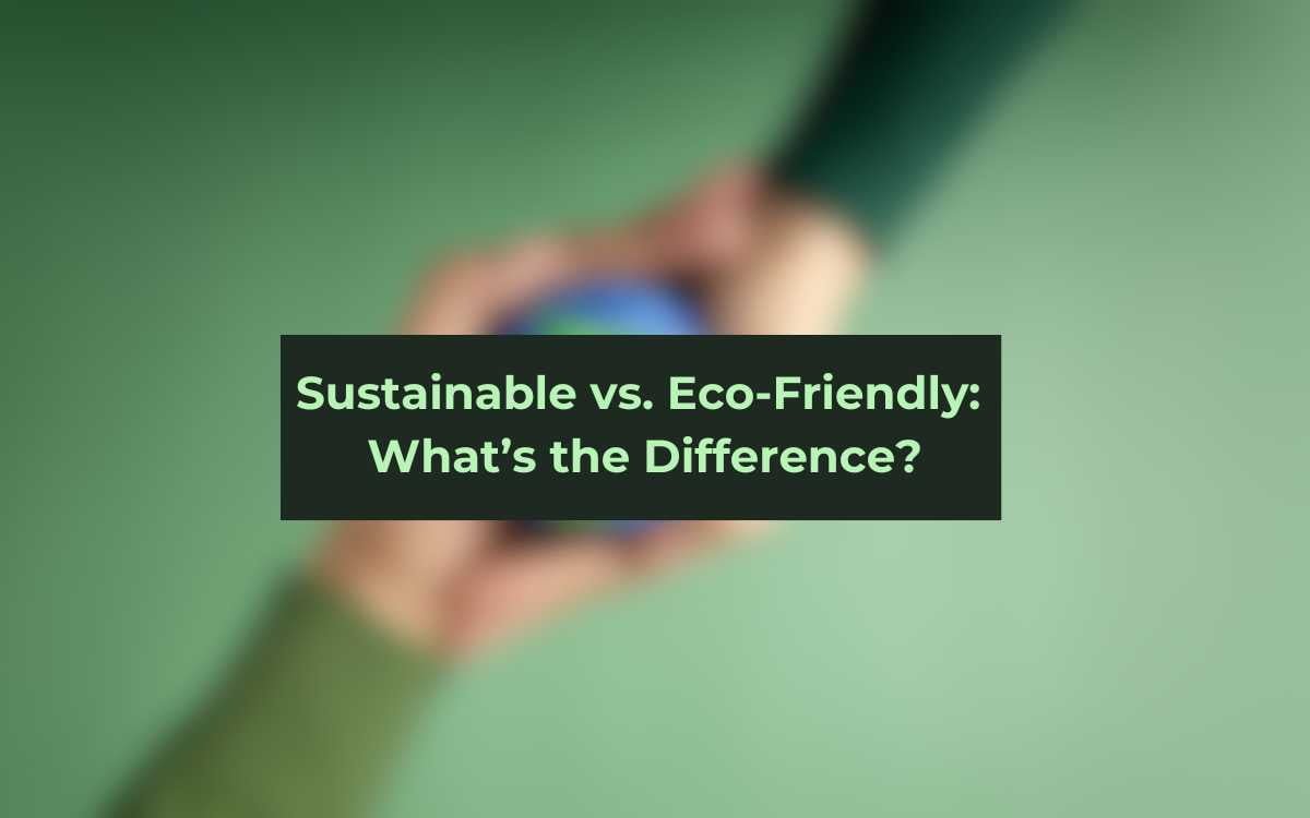 Sustainable vs. Eco-Friendly_ What’s the Difference
